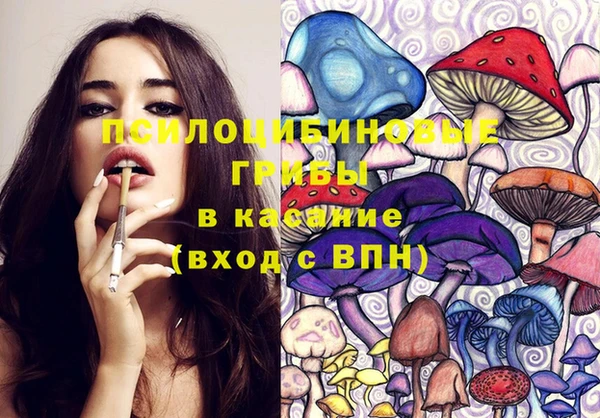 герыч Зерноград