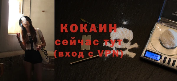 стафф Зеленокумск