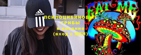 соль ск Дмитриев